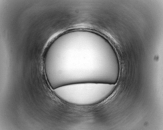 X0000099551358200805160716