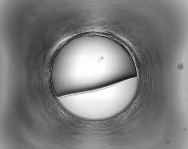 X0000099551359200805160716