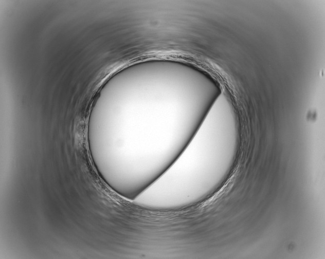 X0000099551361200805160716