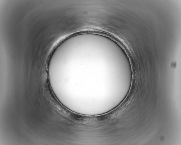 X0000099551363200805160716