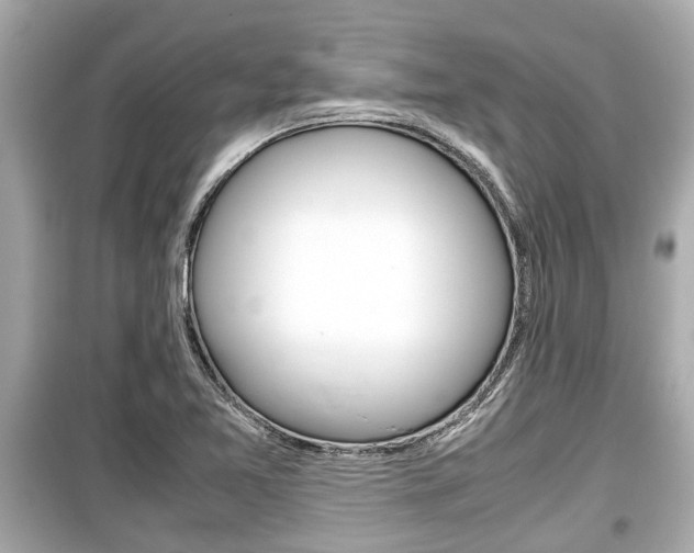 X0000099551365200805160716