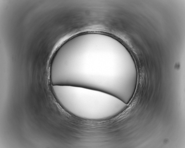 X0000099551366200805160716