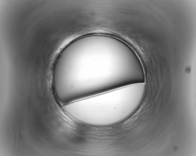 X0000099551367200805160716