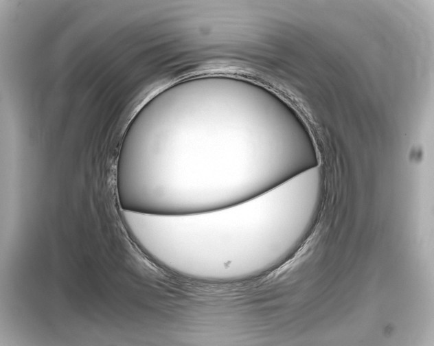 X0000099551369200805160716