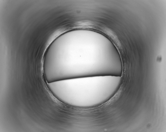 X0000099551370200805160716