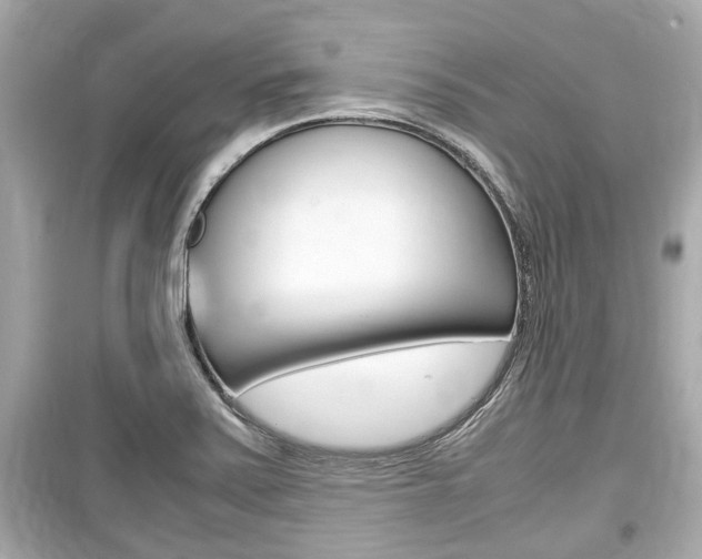 X0000099551371200805160716