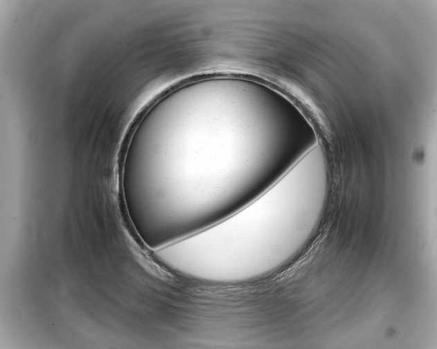 X0000099551372200805160716