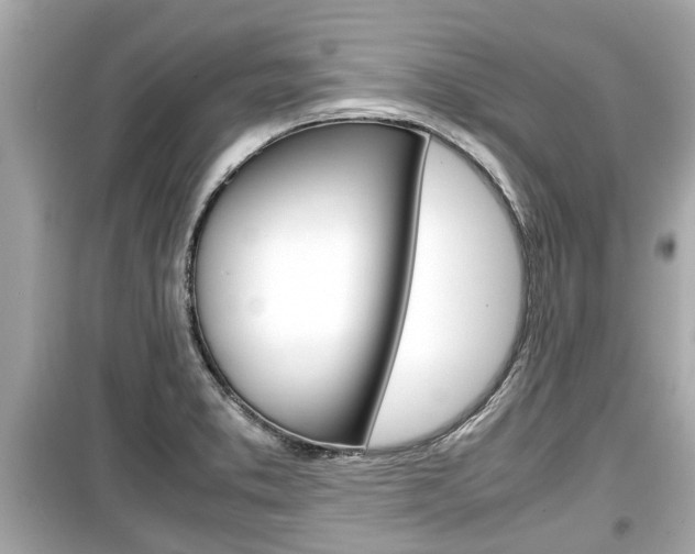 X0000099551373200805160716