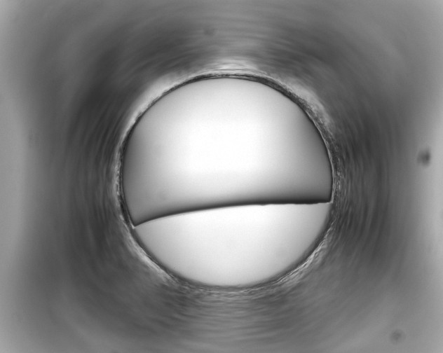 X0000099551374200805160716