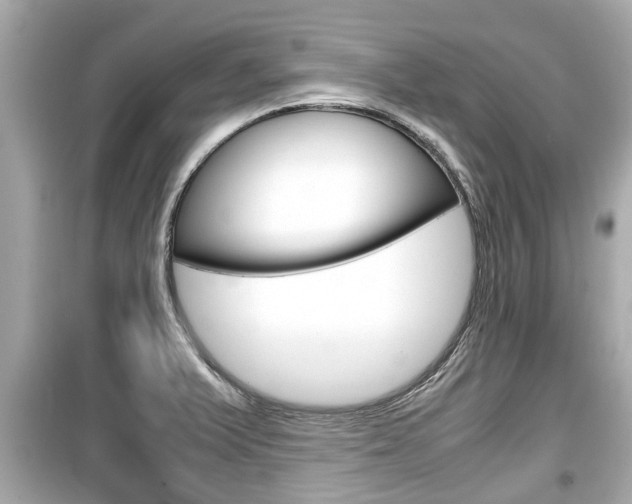 X0000099551375200805160716