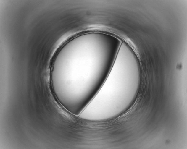 X0000099551376200805160716
