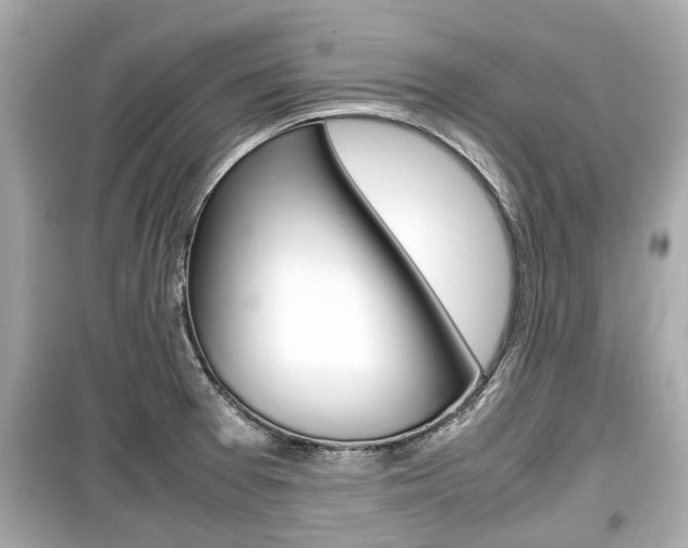 X0000099551377200805160716