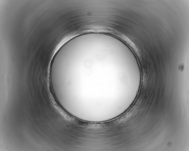 X0000099551378200805160716