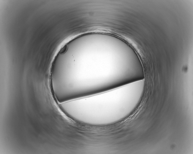 X0000099551379200805160716