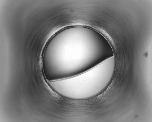 X0000099551380200805160716