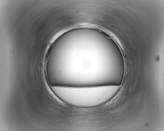 X0000099551381200805160716