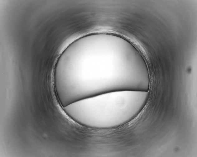 X0000099551382200805160716