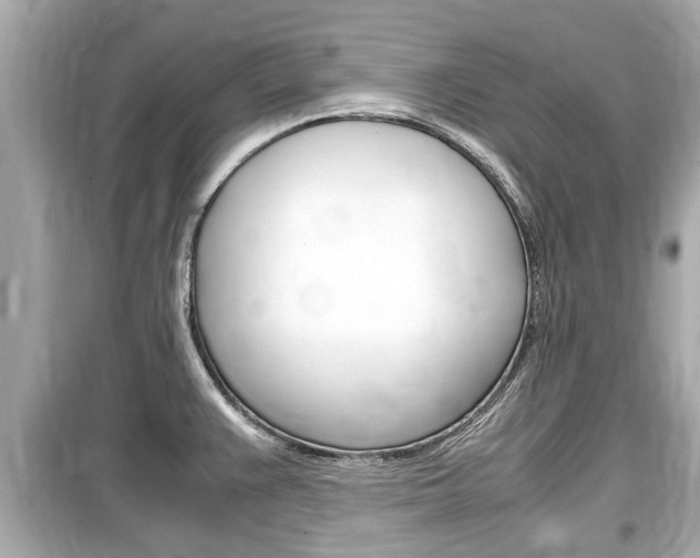 X0000099551383200805160716