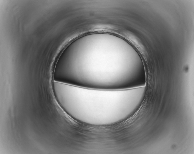 X0000099551384200805160716