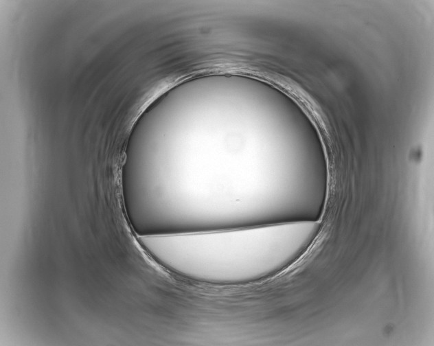 X0000099551385200805160716