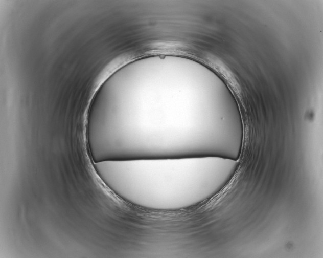 X0000099551386200805160716