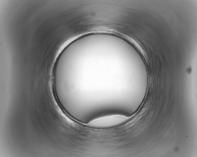 X0000099551387200805160716