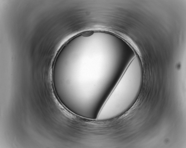 X0000099551388200805160716