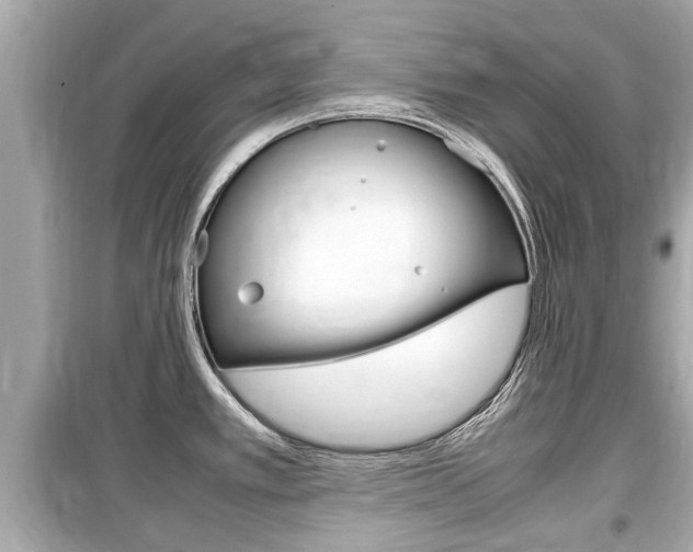 X0000099551389200805160716