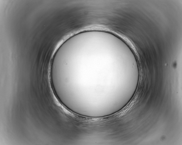 X0000099551390200805160716