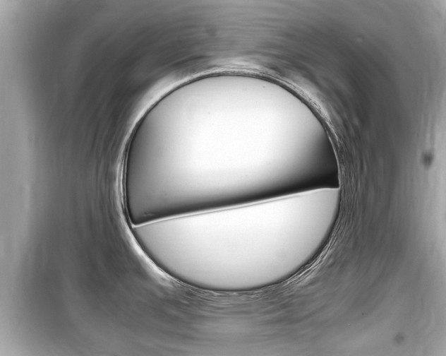 X0000099551391200805160716