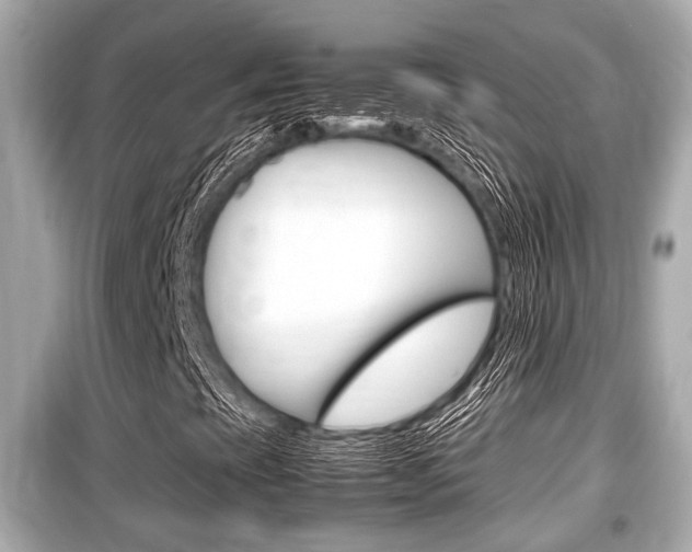 X0000099551393200805160715