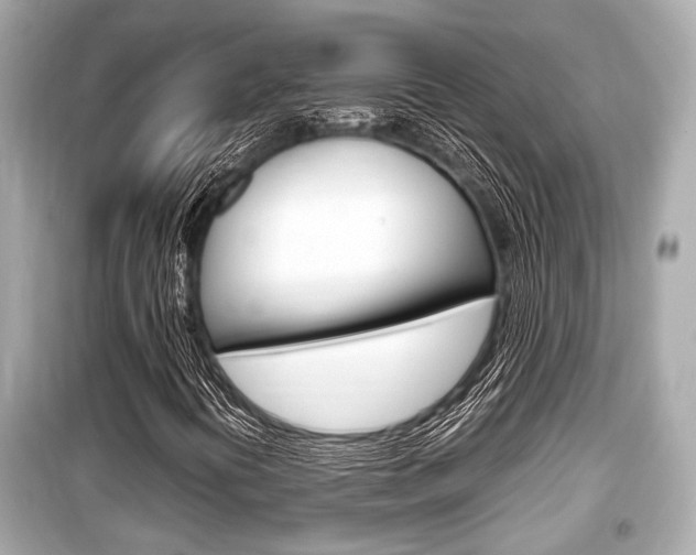 X0000099551394200805160715