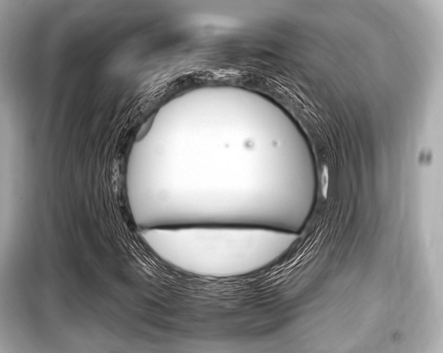 X0000099551395200805160715