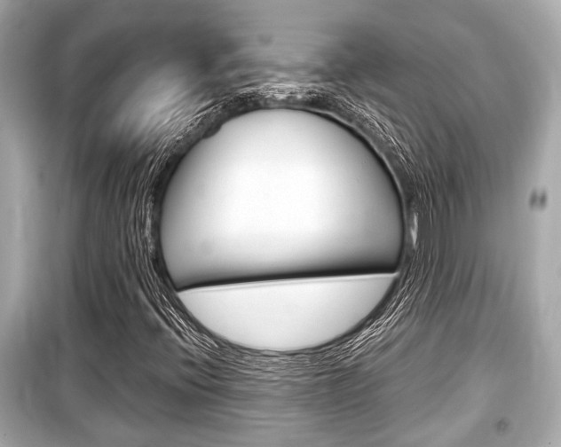 X0000099551396200805160715
