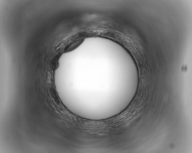 X0000099551397200805160715
