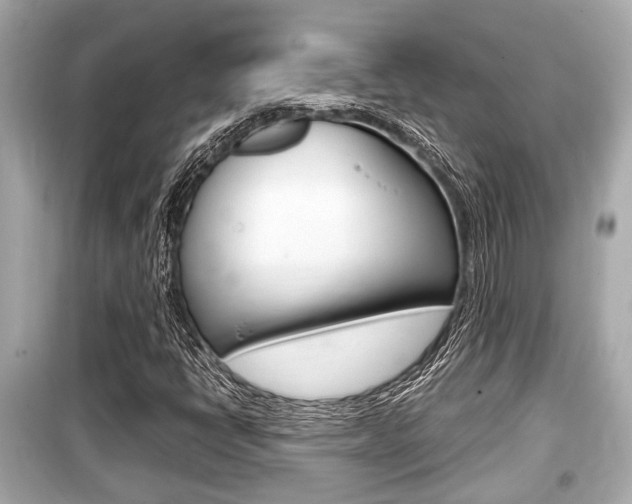 X0000099551398200805160715