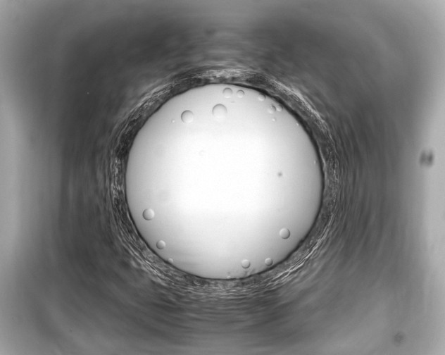 X0000099551399200805160715