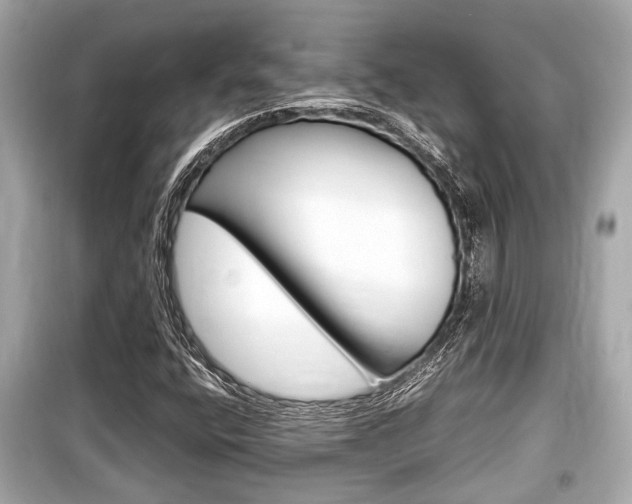 X0000099551400200805160715