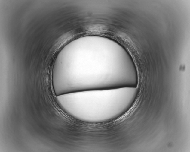 X0000099551401200805160715