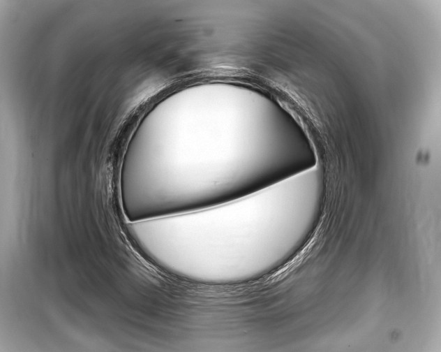 X0000099551402200805160715