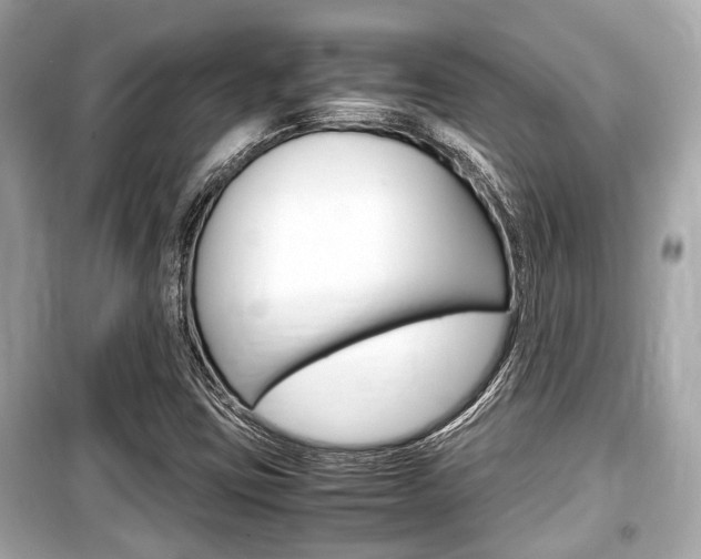 X0000099551403200805160715