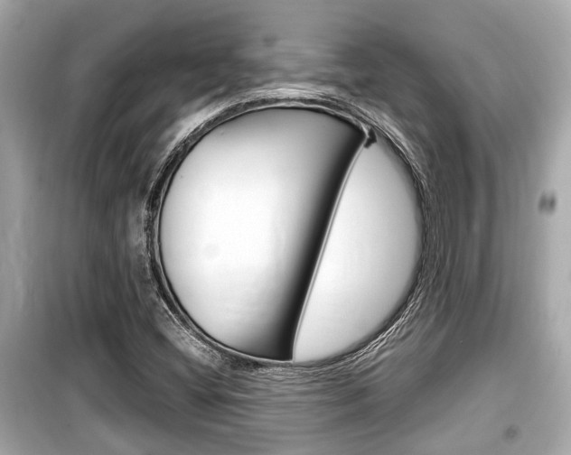 X0000099551404200805160715