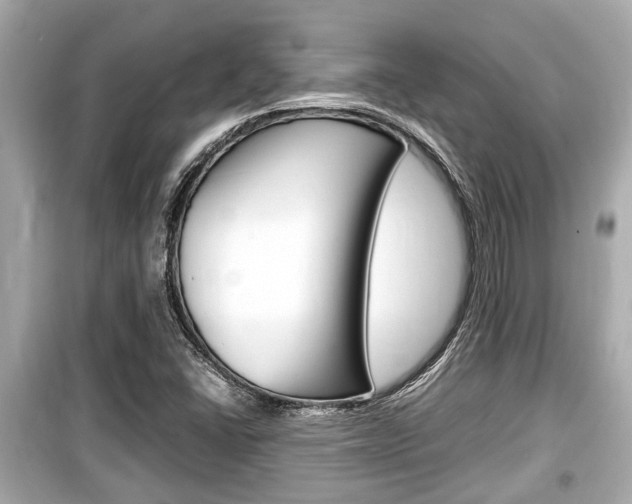 X0000099551406200805160715