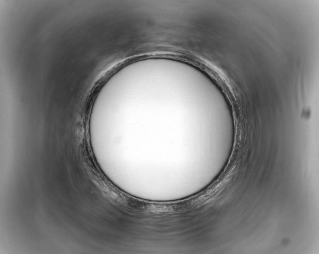 X0000099551407200805160715