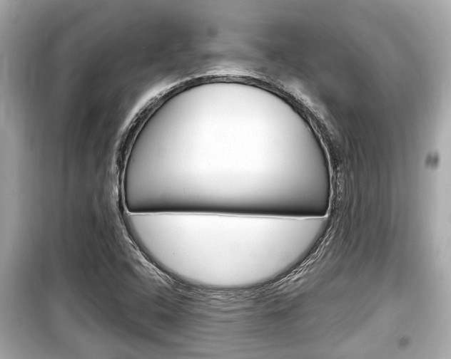 X0000099551408200805160715