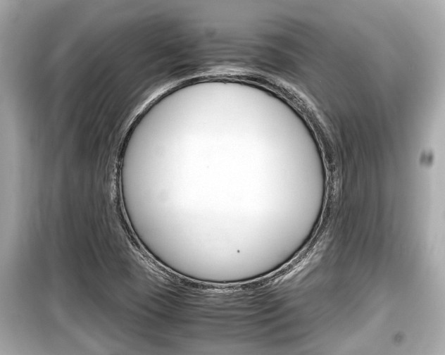 X0000099551409200805160715