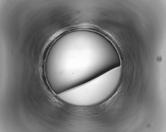 X0000099551410200805160715