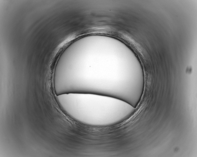 X0000099551411200805160715