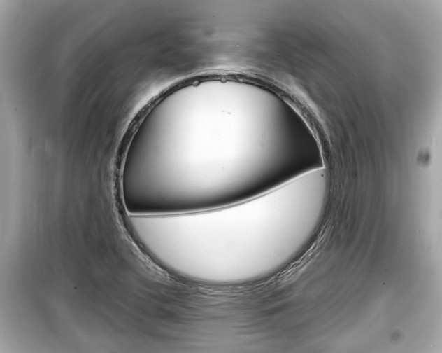 X0000099551412200805160715