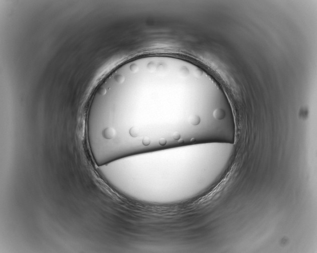 X0000099551413200805160715